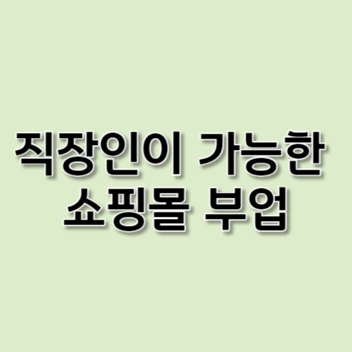 직장인이 가능한 인터넷 쇼핑몰 부업