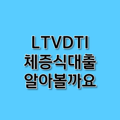 LTVDTI 체증식대출