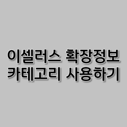 이셀러스 확장정보 카테고리 사용하기